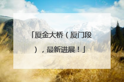 厦金大桥（厦门段），最新进展！