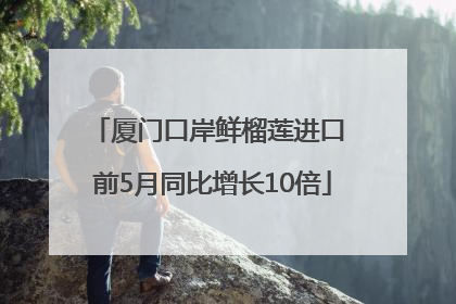 厦门口岸鲜榴莲进口 前5月同比增长10倍