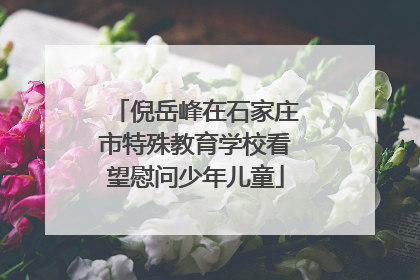 倪岳峰在石家庄市特殊教育学校看望慰问少年儿童