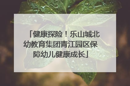 健康探险！乐山城北幼教育集团青江园区保障幼儿健康成长