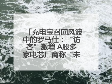 充电宝召回风波中的罗马仕：“访客”激增 A股多家电芯厂商称“未供货”