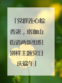 党群连心粽香浓，珞珈山街道两新组织别样主题党日庆端午