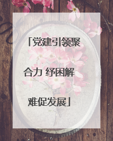 党建引领聚合力 纾困解难促发展