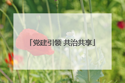 党建引领 共治共享