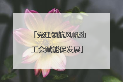 党建领航风帆劲 工会赋能促发展