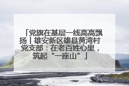党旗在基层一线高高飘扬丨雄安新区雄县黄湾村党支部：在老百姓心里，筑起“一座山”