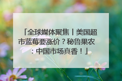 全球媒体聚焦丨美国超市蓝莓要涨价？秘鲁果农：中国市场真香！