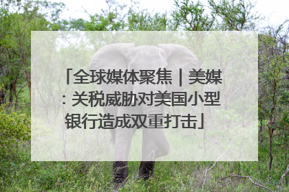 全球媒体聚焦｜美媒：关税威胁对美国小型银行造成双重打击