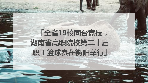 全省19校同台竞技，湖南省高职院校第二十届职工篮球赛在衡阳举行