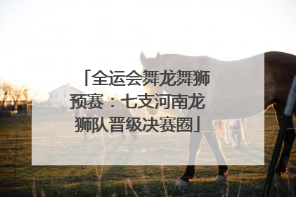 全运会舞龙舞狮预赛：七支河南龙狮队晋级决赛圈