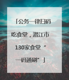 公务一律扫码吃食堂，潜江市130家食堂“一码通刷”