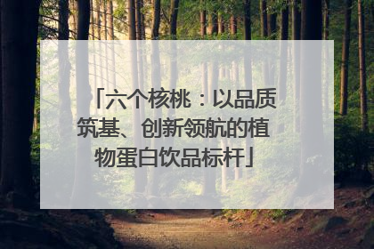 六个核桃：以品质筑基、创新领航的植物蛋白饮品标杆