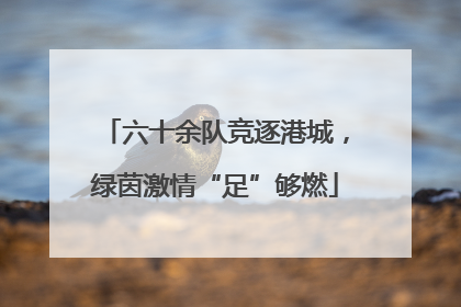 六十余队竞逐港城，绿茵激情“足”够燃