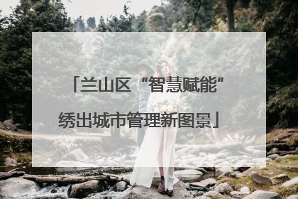 兰山区“智慧赋能”绣出城市管理新图景