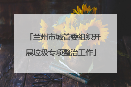 兰州市城管委组织开展垃圾专项整治工作