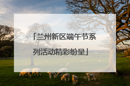 兰州新区端午节系列活动精彩纷呈