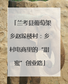 兰考县葡萄架乡赵垛楼村：乡村电商里的“甜蜜”创业路