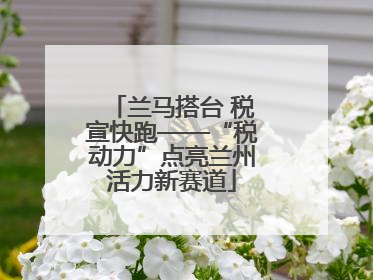 兰马搭台 税宣快跑——“税动力”点亮兰州活力新赛道