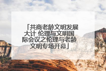 共商老龄文明发展大计 伦理与文明国际会议之伦理与老龄文明专场开幕