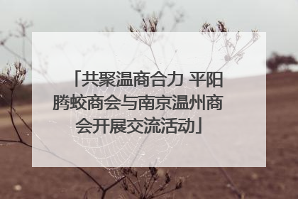 共聚温商合力 平阳腾蛟商会与南京温州商会开展交流活动