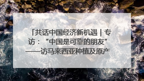 共话中国经济新机遇｜专访：“中国是可靠的朋友”——访马来西亚种植及原产业部副部长陈泓缣