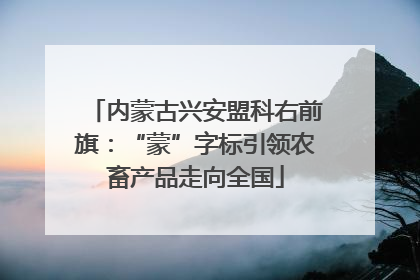 内蒙古兴安盟科右前旗：“蒙”字标引领农畜产品走向全国