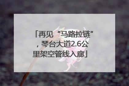 再见“马路拉链”，琴台大道2.6公里架空管线入廊