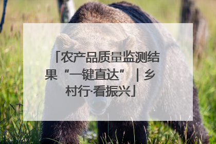农产品质量监测结果“一键直达”｜乡村行·看振兴