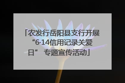 农发行岳阳县支行开展“6·14信用记录关爱日” 专题宣传活动