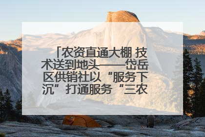 农资直通大棚 技术送到地头——岱岳区供销社以“服务下沉”打通服务“三农”最后一公里