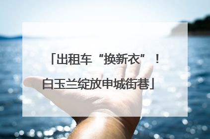 出租车“换新衣”！白玉兰绽放申城街巷