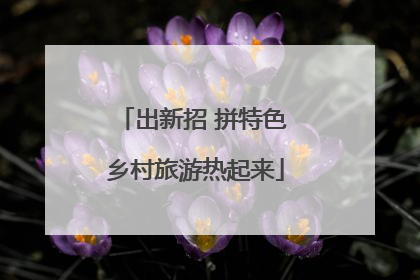 出新招 拼特色 乡村旅游热起来