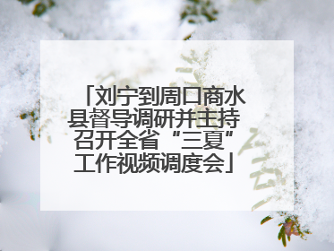 刘宁到周口商水县督导调研并主持召开全省“三夏”工作视频调度会
