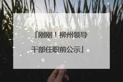 刚刚！柳州领导干部任职前公示