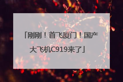 刚刚！首飞厦门！国产大飞机C919来了