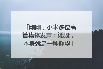刚刚，小米多位高管集体发声：诋毁，本身就是一种仰望