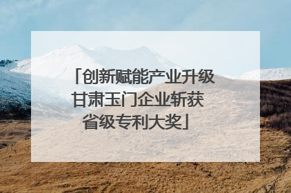 创新赋能产业升级 甘肃玉门企业斩获省级专利大奖
