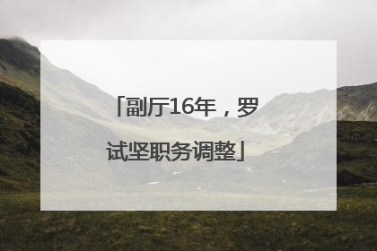 副厅16年，罗试坚职务调整