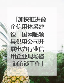 加快推进豫企信用体系建设｜国网临颍县供电公司开展电力行业信用企业现场咨询访谈工作