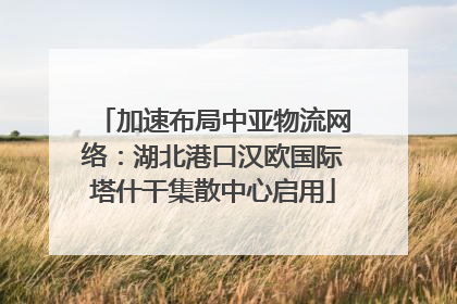 加速布局中亚物流网络：湖北港口汉欧国际塔什干集散中心启用