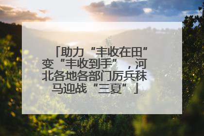 助力“丰收在田”变“丰收到手”，河北各地各部门厉兵秣马迎战“三夏”