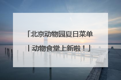 北京动物园夏日菜单丨动物食堂上新啦！