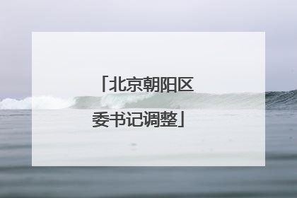北京朝阳区委书记调整