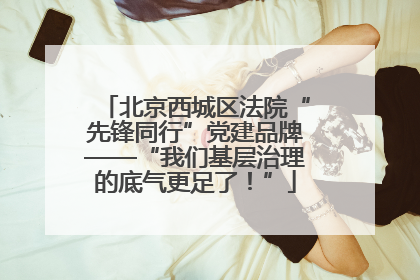 北京西城区法院“先锋同行”党建品牌——“我们基层治理的底气更足了！”