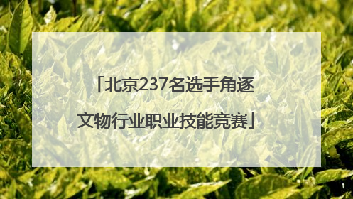 北京237名选手角逐文物行业职业技能竞赛