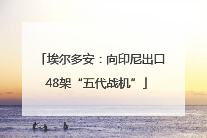 埃尔多安：向印尼出口48架“五代战机”