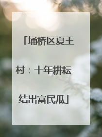 埇桥区夏王村：十年耕耘结出富民瓜