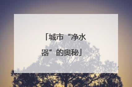 城市“净水器”的奥秘