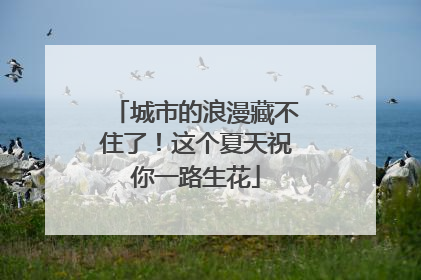 城市的浪漫藏不住了！这个夏天祝你一路生花