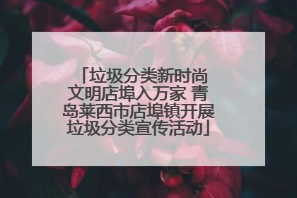 垃圾分类新时尚 文明店埠入万家 青岛莱西市店埠镇开展垃圾分类宣传活动